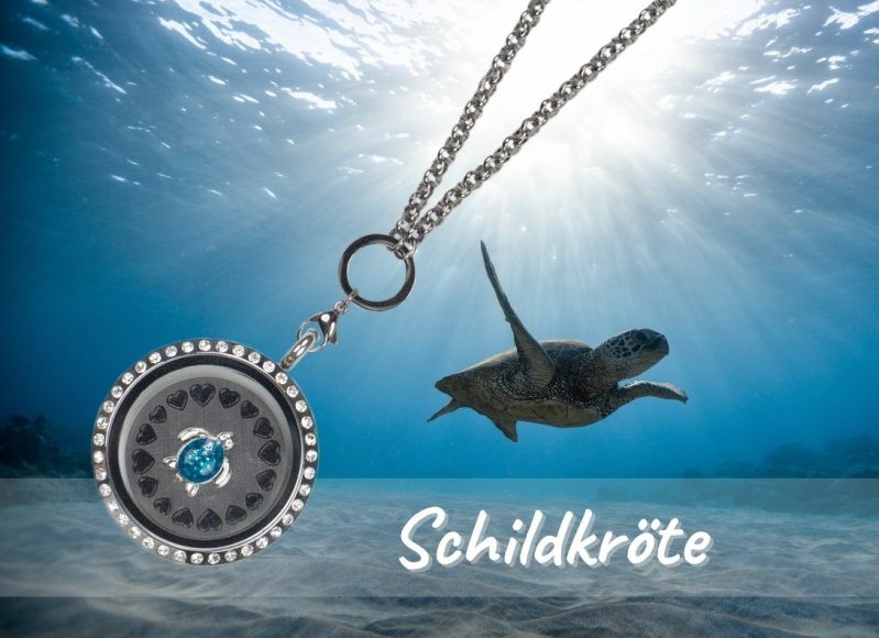 Schildkröte